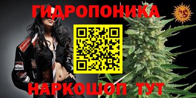 стаф Пенза