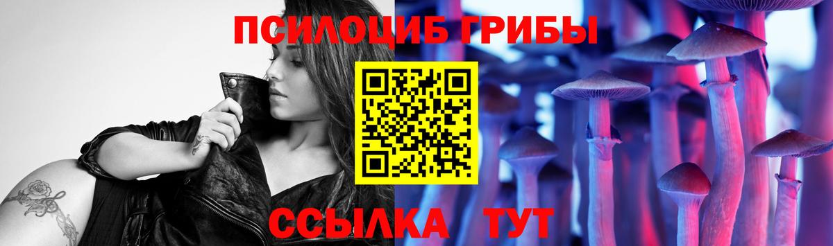 Галлюциногенные грибы Cubensis  Вход с VPN  Ржев 